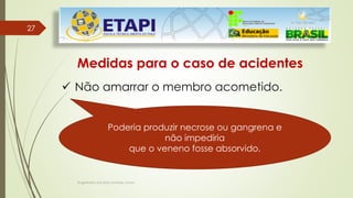 Engenheiro Zacarias Linhares Junior
2727
Medidas para o caso de acidentes
 Não amarrar o membro acometido.
Poderia produzir necrose ou gangrena e
não impediria
que o veneno fosse absorvido.
 