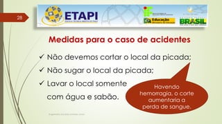 Engenheiro Zacarias Linhares Junior
2828
Medidas para o caso de acidentes
 Não devemos cortar o local da picada;
 Não sugar o local da picada;
 Lavar o local somente
com água e sabão.
Havendo
hemorragia, o corte
aumentaria a
perda de sangue.
 