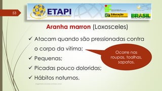 5353
Engenheiro Zacarias Linhares Junior
Aranha marron (Loxosceles)
 Atacam quando são pressionadas contra
o corpo da vitima;
 Pequenas;
 Picadas pouco doloridas;
 Hábitos noturnos.
Ocorre nas
roupas, toalhas,
sapatos.
 
