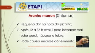 5454
Engenheiro Zacarias Linhares Junior
Aranha marron (Sintomas)
 Pequena dor na hora da picada;
 Após 12 a 36 h evolui para inchaço; mal
estar geral, náuseas e febre;
 Pode causar necrose do ferimento.
http://www.portalsaofrancisco.com.br/alfa/aranhas/imagens/picada-de-aranha-marrom-6.jpg
 