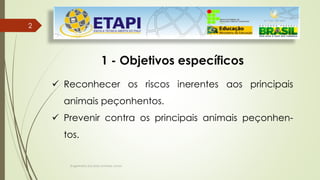 Engenheiro Zacarias Linhares Junior
2
2
1 - Objetivos específicos
 Reconhecer os riscos inerentes aos principais
animais peçonhentos.
 Prevenir contra os principais animais peçonhen-
tos.
 