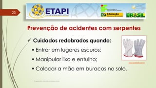 Engenheiro Zacarias Linhares Junior
23
23
Prevenção de acidentes com serpentes
 Cuidados redobrados quando:
 Entrar em lugares escuros;
 Manipular lixo e entulho;
 Colocar a mão em buracos no solo.
www.eurobratti.com.br
 