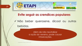 Engenheiro Zacarias Linhares Junior
29
29
Evite seguir as crendices populares
 Não beber querosene, álcool ou outras
bebidas.
Além de não neutralizar
a ação do veneno, pode causar
intoxicações.
 