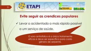 Engenheiro Zacarias Linhares Junior
31
31
Evite seguir as crendices populares
 Levar o acidentado o mais rápido possível
a um serviço de saúde.
O soro antiofídico é o único tratamento
eficaz e deve ser específico para cada
gênero de serpente.
 