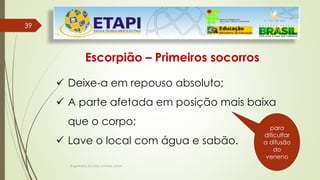 Engenheiro Zacarias Linhares Junior
39
39
Escorpião – Primeiros socorros
 Deixe-a em repouso absoluto;
 A parte afetada em posição mais baixa
que o corpo;
 Lave o local com água e sabão.
para
dificultar
a difusão
do
veneno
 