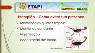 Engenheiro Zacarias Linhares Junior
41
41
Escorpião – Como evitar sua presença
 Mantendo os quintais limpos;
 Mantendo constante
higienização
dedetização dos locais.
Fonte: www.hospvirt.org.br.
Preto
Amarelo
 