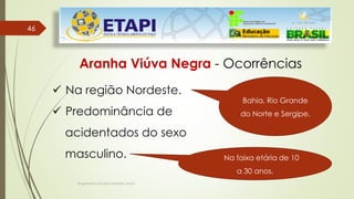46
46
Engenheiro Zacarias Linhares Junior
Aranha Viúva Negra - Ocorrências
 Na região Nordeste.
 Predominância de
acidentados do sexo
masculino.
Bahia, Rio Grande
do Norte e Sergipe.
Na faixa etária de 10
a 30 anos.
 