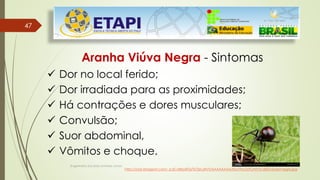 47
47
Engenheiro Zacarias Linhares Junior
Aranha Viúva Negra - Sintomas
 Dor no local ferido;
 Dor irradiada para as proximidades;
 Há contrações e dores musculares;
 Convulsão;
 Suor abdominal,
 Vômitos e choque.
http://2.bp.blogspot.com/_sLdCaRjadEQ/TU7jzru2N7I/AAAAAAAAAEo/YkLOLFCrnlY/s1600/viuvia+negra.jpg
 