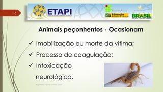 Engenheiro Zacarias Linhares Junior
6
6
Animais peçonhentos - Ocasionam
 Imobilização ou morte da vítima;
 Processo de coagulação;
 Intoxicação
neurológica.
 