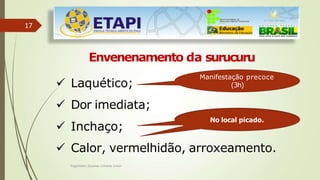 17
Envenenamento da surucuru
 Laquético;
 Dor imediata;
 Inchaço;
 Calor, vermelhidão, arroxeamento.
Manifestação precoce
(3h)
No local picado.
Engenheiro Zacarias Linhares Junior
 
