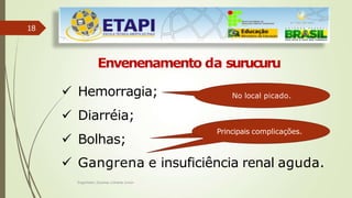 18
Envenenamento da surucuru
 Hemorragia;
 Diarréia;
 Bolhas;
 Gangrena e insuficiência renal aguda.
No local picado.
Engenheiro Zacarias Linhares Junior
Principais complicações.
 