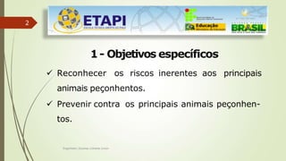 2
Engenheiro Zacarias Linhares Junior
1- Objetivos específicos
 Reconhecer os riscos inerentes aos principais
animais peçonhentos.
 Prevenir contra os principais animais peçonhen-
tos.
 