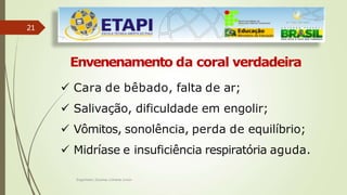 21
Engenheiro Zacarias Linhares Junior
Envenenamento da coral verdadeira
 Cara de bêbado, falta de ar;
 Salivação, dificuldade em engolir;
 Vômitos, sonolência, perda de equilíbrio;
 Midríase e insuficiência respiratória aguda.
 