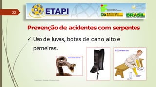 22
Prevenção de acidentes com serpentes
 Uso de luvas, botas de cano alto e
perneiras. dc171.4shared.com
www.sestr.com.br
Engenheiro Zacarias Linhares Junior
 