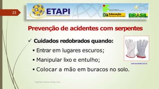 23
Prevenção de acidentes com serpentes
 Cuidados redobrados quando:
 Entrar em lugares escuros;
 Manipular lixo e entulho;
 Colocar a mão em buracos no solo.
www.eurobratti.com.br
Engenheiro Zacarias Linhares Junior
 