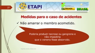 27
Medidas para o caso de acidentes
 Não amarrar o membro acometido.
Poderia produzir necrose ou gangrena e
não impediria
que o veneno fosse absorvido.
Engenheiro Zacarias Linhares Junior
 