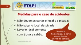 28
Medidas para o caso de acidentes
 Não devemos cortar o local da picada;
 Não sugar o local da picada;
 Lavar o local somente
com água e sabão.
Havendo
hemorragia, o corte
aumentaria a
perda de sangue.
Engenheiro Zacarias Linhares Junior
 