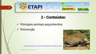 3
2- Conteúdos:
 Principais animais peçonhentos
 Prevenção
http://guinchoibfpower.com.br/wp-content/uploads/2011/12/Indian-Cobra.jpg
Engenheiro Zacarias Linhares Junior
 
