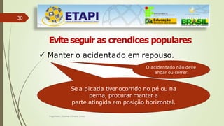 30
Evite seguir as crendices populares
 Manter o acidentado em repouso.
O acidentado não deve
andar ou correr.
Se a picada tiver ocorrido no pé ou na
perna, procurar manter a
parte atingida em posição horizontal.
Engenheiro Zacarias Linhares Junior
 