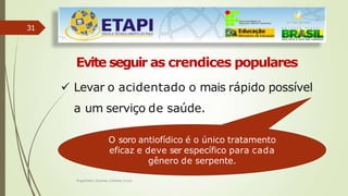 31
Evite seguir as crendices populares
 Levar o acidentado o mais rápido possível
a um serviço de saúde.
O soro antiofídico é o único tratamento
eficaz e deve ser específico para cada
gênero de serpente.
Engenheiro Zacarias Linhares Junior
 