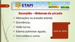 38
Escorpião –Sintomas da picada
 Alterações na pressão arterial;
 Dormência;
 Visão turva;
 Edema pulmonar agudo;
 Convulsões e coma.
Após de 30min
Engenheiro Zacarias Linhares Junior
 