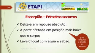 39
Escorpião –Primeiros socorros
 Deixe-a em repouso absoluto;
 A parte afetada em posição mais baixa
que o corpo;
 Lave o local com água e sabão.
para
dificultar
a difusão
do
veneno
Engenheiro Zacarias Linhares Junior
 