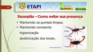 Engenheiro Zacarias Linhares Junior
41
Escorpião –Como evitar sua presença
 Mantendo os quintais limpos;
 Mantendo constante
higienização
dedetização dos locais.
Fonte: www.hospvirt.org.br.
Preto
Amarelo
 