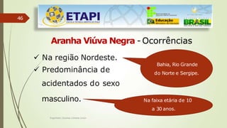 46
Aranha Viúva Negra - Ocorrências
 Predominância de
acidentados do sexo
masculino.
 Na região Nordeste.
Bahia, Rio Grande
do Norte e Sergipe.
Na faixa etária de 10
a 30 anos.
Engenheiro Zacarias Linhares Junior
 