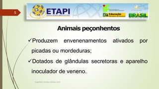 5
Engenheiro Zacarias Linhares Junior
Animais peçonhentos
Produzem envenenamentos ativados por
picadas ou mordeduras;
Dotados de glândulas secretoras e aparelho
inoculador de veneno..
 