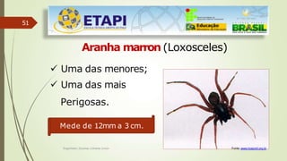51
Aranha marron (Loxosceles)
 Uma das menores;
 Uma das mais
Perigosas.
Mede de 12mm a 3 cm.
Fonte: www.hospvirt.org.br
Engenheiro Zacarias Linhares Junior
 