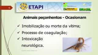 6
Animais peçonhentos - Ocasionam
 Imobilização ou morte da vítima;
 Processo de coagulação;
 Intoxicação
neurológica.
Engenheiro Zacarias Linhares Junior
 