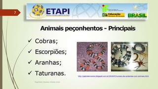 7
Animais peçonhentos - Principais
 Cobras;
 Escorpiões;
 Aranhas;
 Taturanas. http://gabrielemoreira.blogspot.com.br/2010/07/numero-de-acidentes-com-animais.html
Engenheiro Zacarias Linhares Junior
 