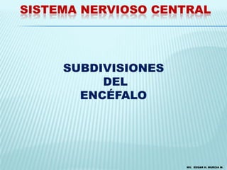 SISTEMA NERVIOSO CENTRAL




     SUBDIVISIONES
          DEL
       ENCÉFALO




                     MV. EDGAR H. MURCIA M.
 