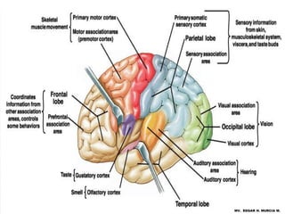 MV. EDGAR H. MURCIA M.
 