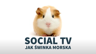 SOCIAL TV
JAK ŚWINKA MORSKA
        @czerskip • pawel@filmaster.com
 