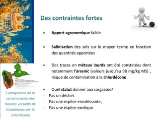 • Etude de valorisation des algues sargasses - Juillet 2019 Page : 3
 Apport agronomique faible
 Salinisation des sols s...