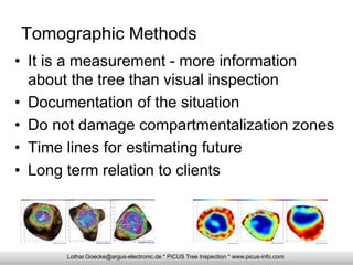 SONIC TOMOGRAPH EXPLANATION | PPTX