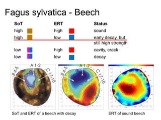 SONIC TOMOGRAPH EXPLANATION | PPTX
