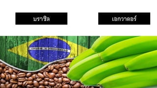 บราซิล เอกวาดอร์
 