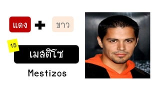 แดง ขาว
เมสติโซ
Mestizos
 