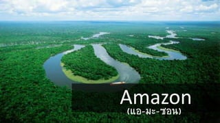 Amazon(แอ-มะ-ซอน)
 