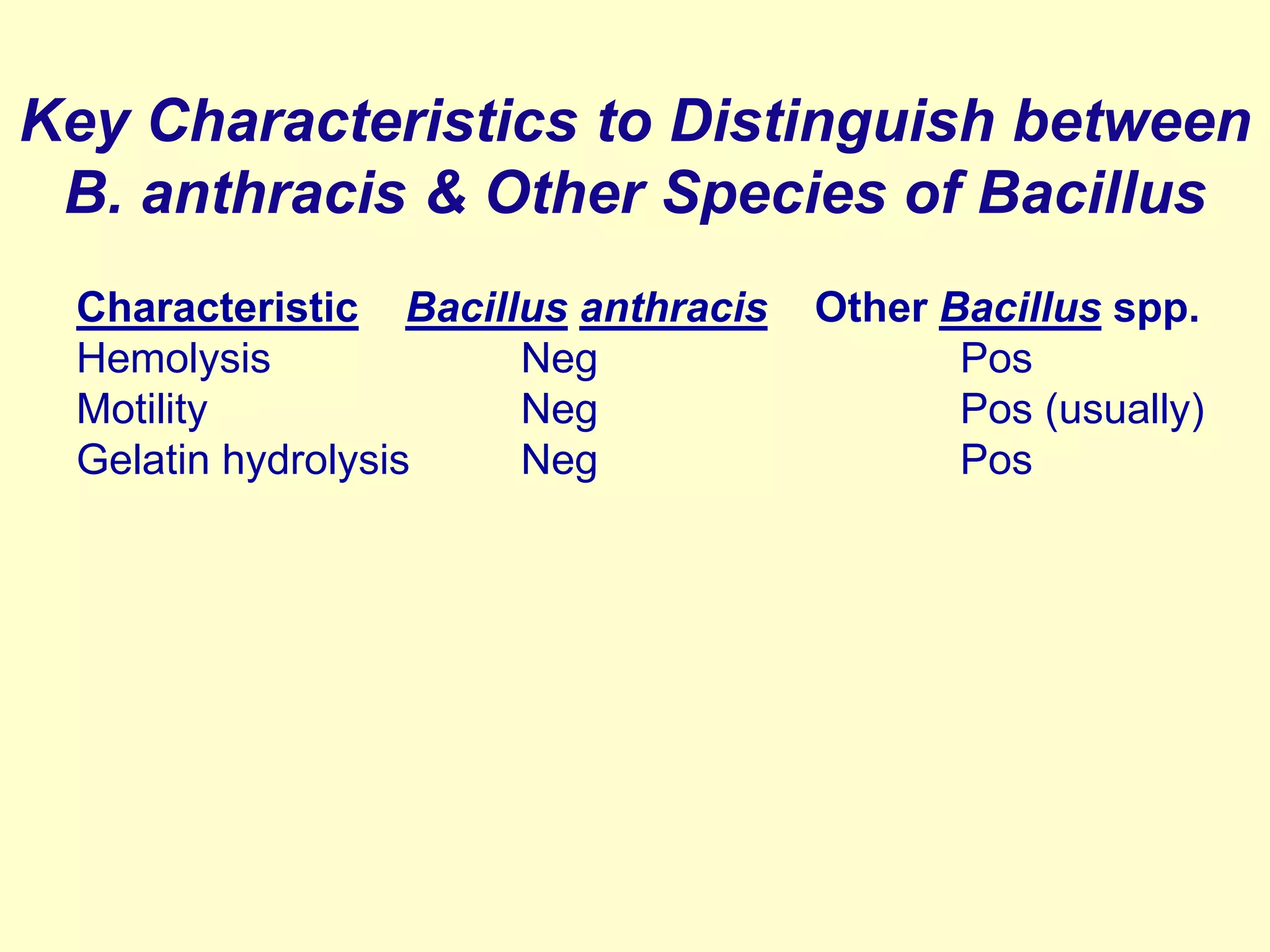 Key Characteristics to Distinguish between
B. anthracis & Other Species of Bacillus
Characteristic Bacillus anthracis
Hemolysis
Neg
Motility
Neg
Gelatin hydrolysis
Neg

Other Bacillus spp.
Pos
Pos (usually)
Pos

 