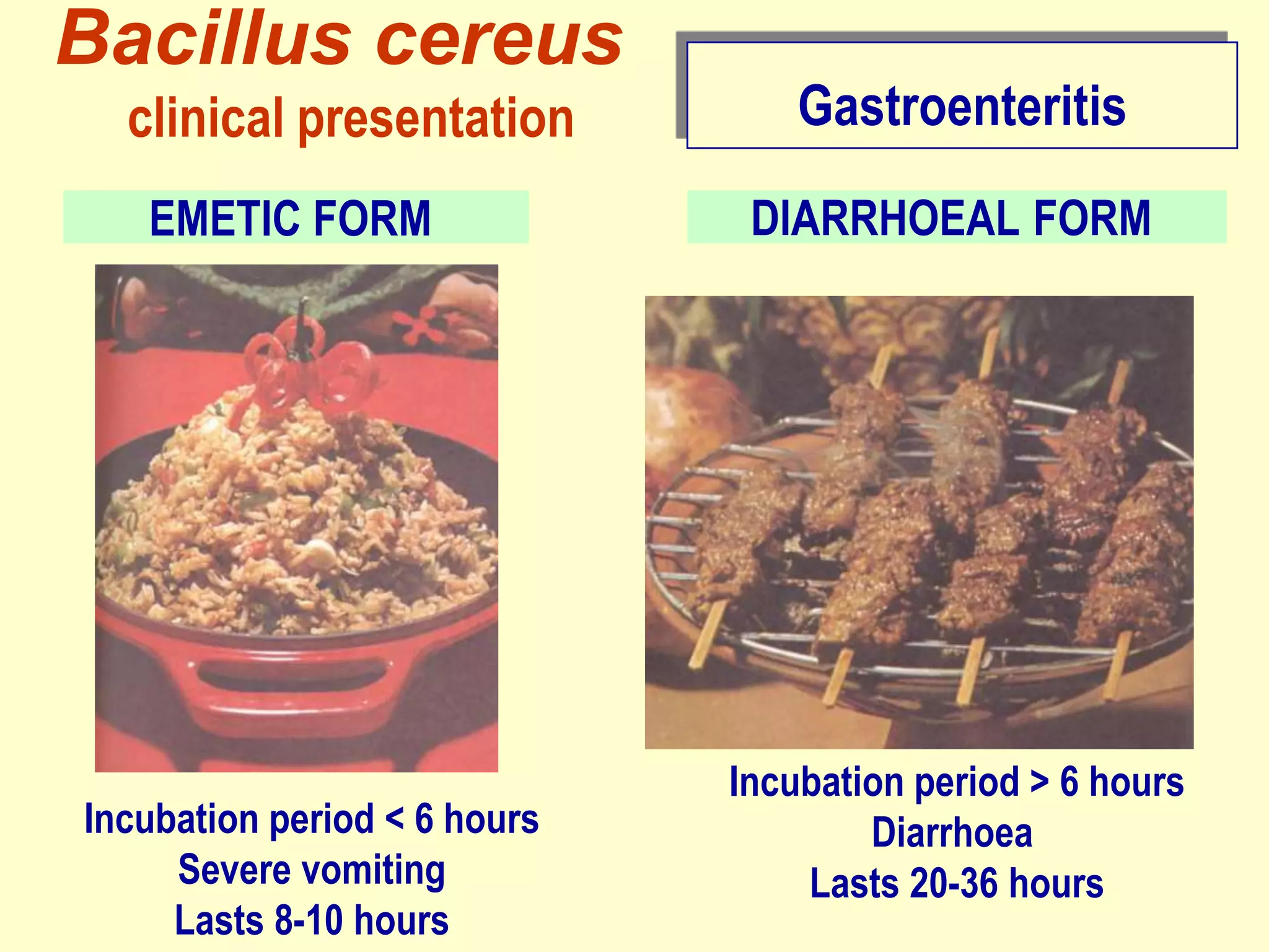Bacillus cereus
clinical presentation
EMETIC FORM

Incubation period < 6 hours
Severe vomiting
Lasts 8-10 hours

Gastroenteritis
DIARRHOEAL FORM

Incubation period > 6 hours
Diarrhoea
Lasts 20-36 hours

 
