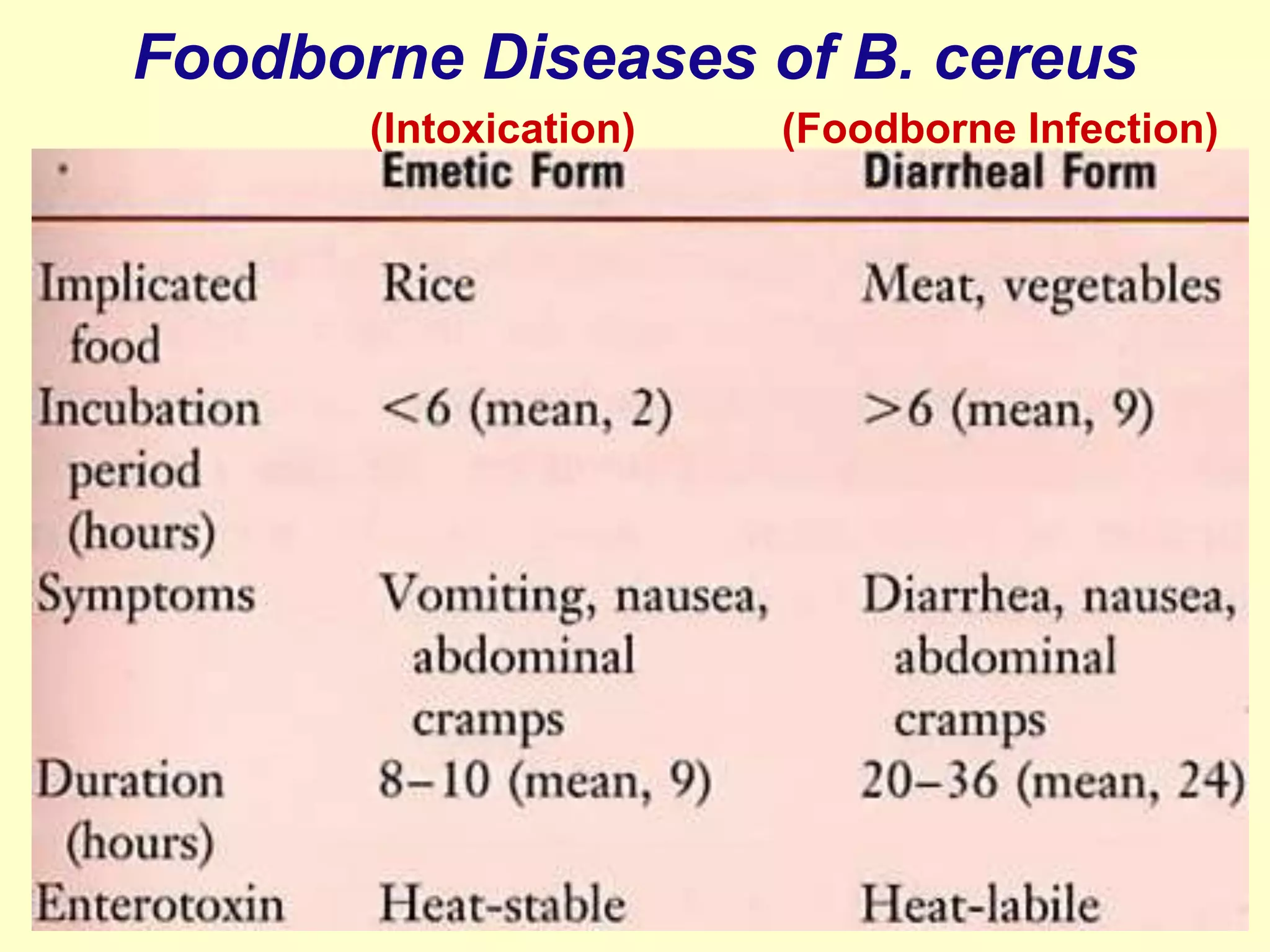 Foodborne Diseases of B. cereus
(Intoxication)

(Foodborne Infection)

 