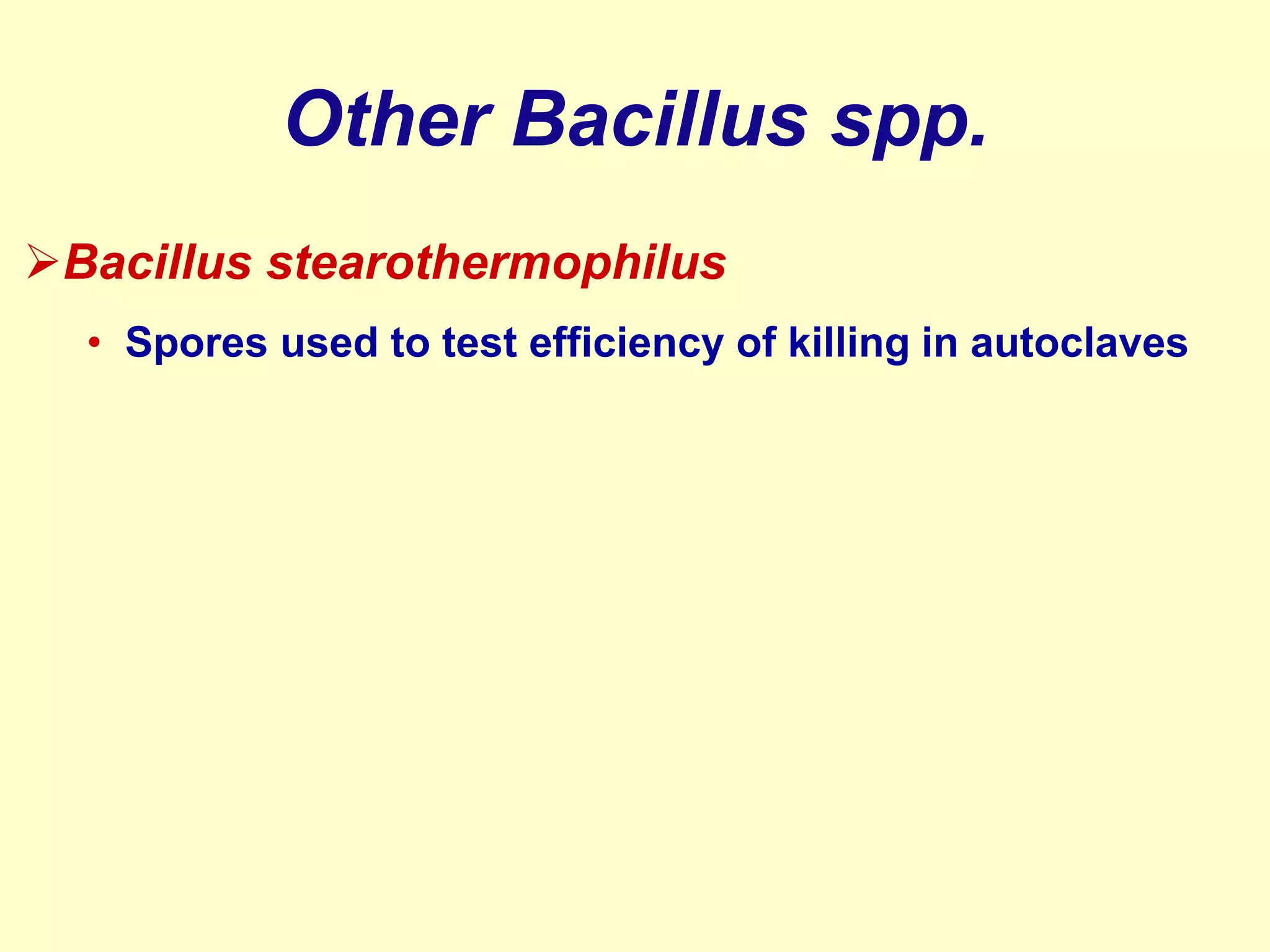 Other Bacillus spp.
Bacillus stearothermophilus
• Spores used to test efficiency of killing in autoclaves

 