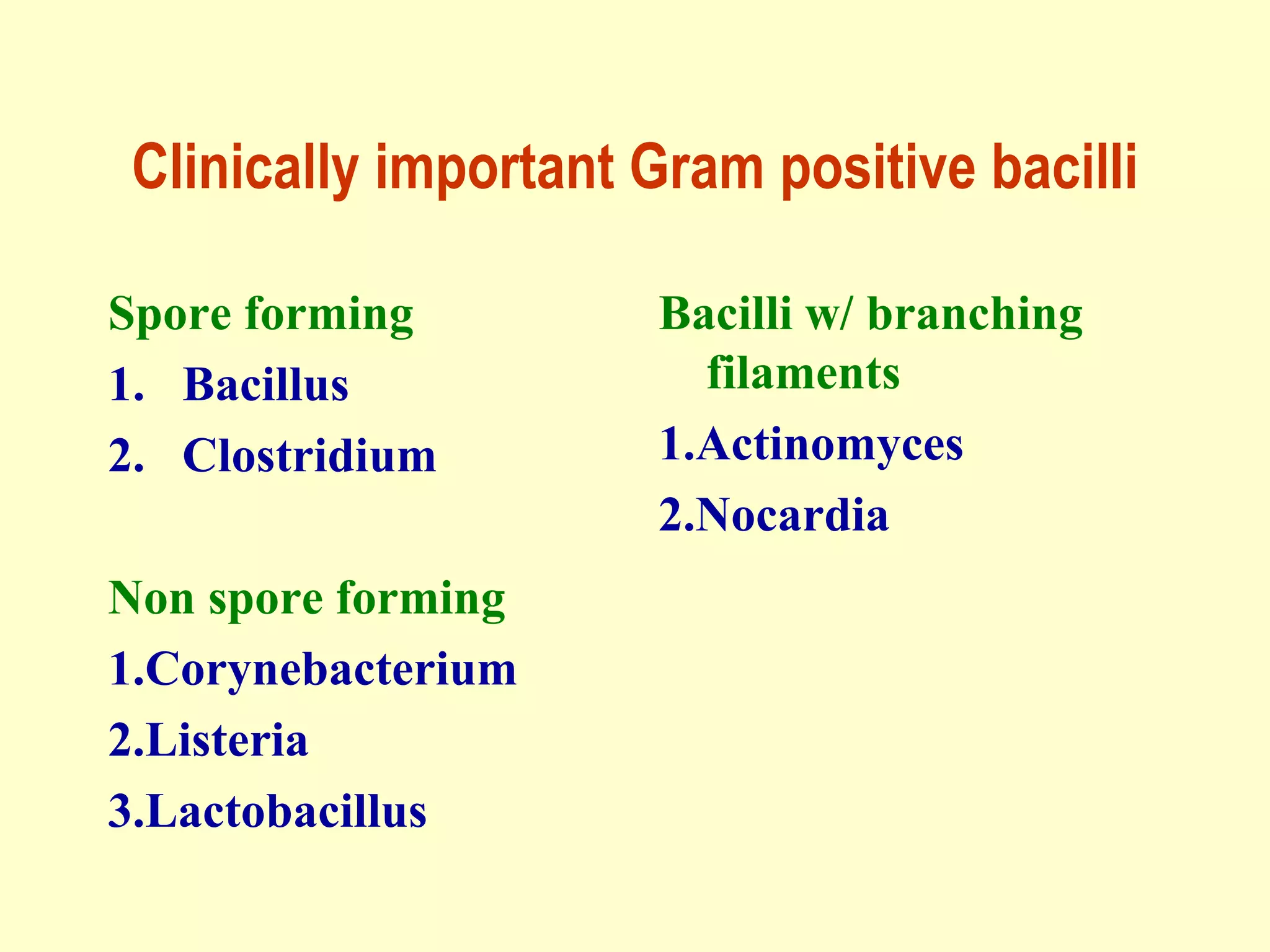 Clinically important Gram positive bacilli
Spore forming
1. Bacillus
2. Clostridium
Non spore forming
1.Corynebacterium
2.Listeria
3.Lactobacillus

Bacilli w/ branching
filaments
1.Actinomyces
2.Nocardia

 
