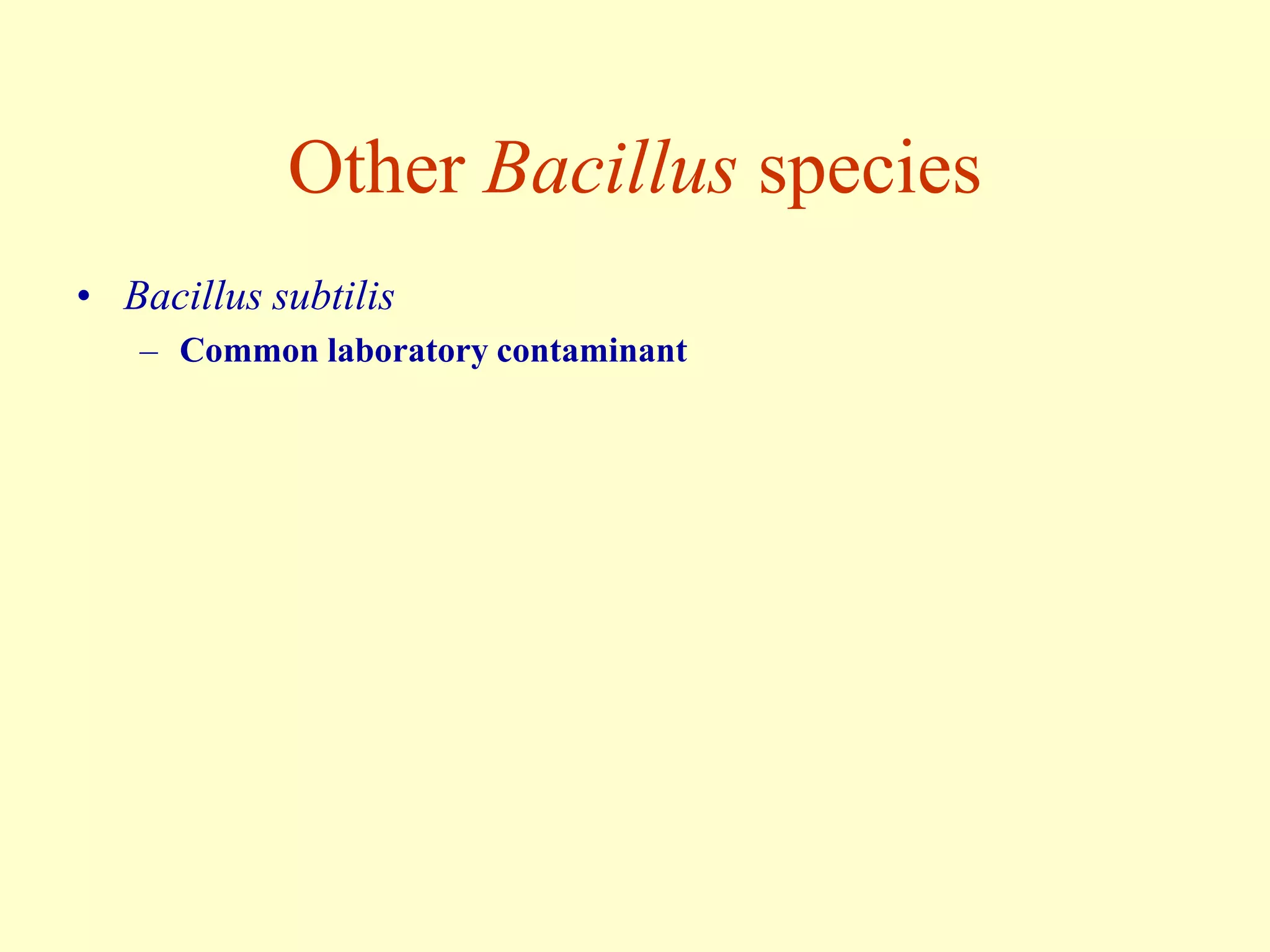 Other Bacillus species
• Bacillus subtilis
– Common laboratory contaminant

 