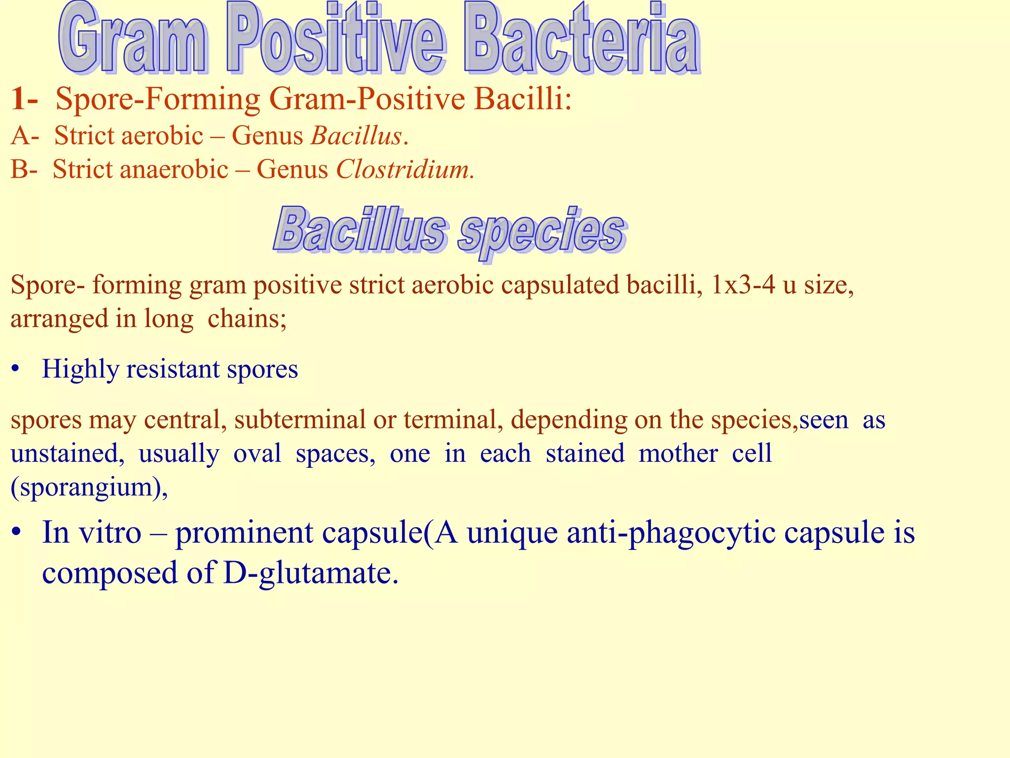 1- Spore-Forming Gram-Positive Bacilli:
A- Strict aerobic – Genus Bacillus.
B- Strict anaerobic – Genus Clostridium.

Spore- forming gram positive strict aerobic capsulated bacilli, 1x3-4 u size,
arranged in long chains;
• Highly resistant spores
spores may central, subterminal or terminal, depending on the species,seen as
unstained, usually oval spaces, one in each stained mother cell
(sporangium),

• In vitro – prominent capsule(A unique anti-phagocytic capsule is
composed of D-glutamate.
.

 