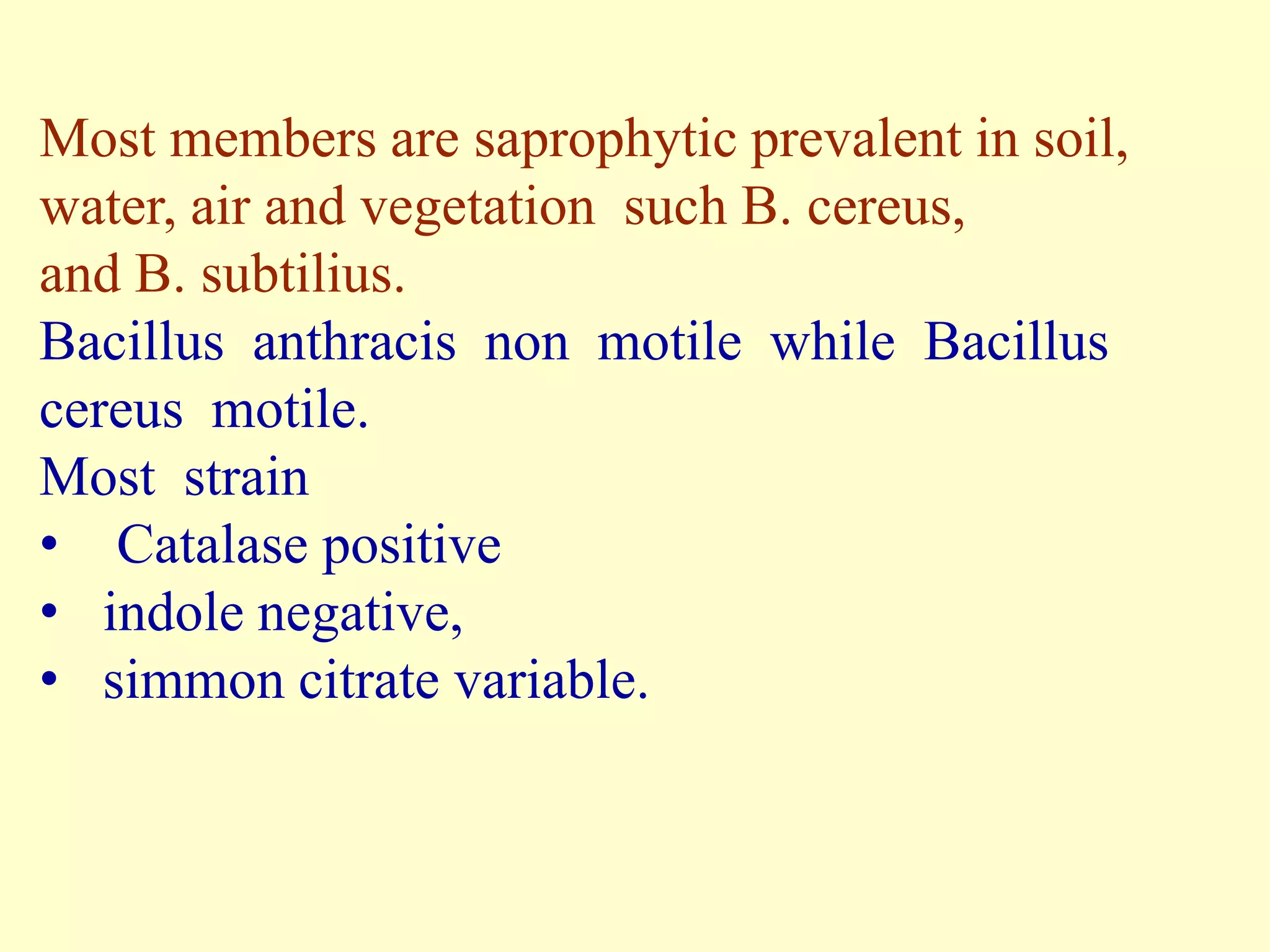 Most members are saprophytic prevalent in soil,
water, air and vegetation such B. cereus,
and B. subtilius.
Bacillus anthracis non motile while Bacillus
cereus motile.
Most strain
• Catalase positive
• indole negative,
• simmon citrate variable.

 