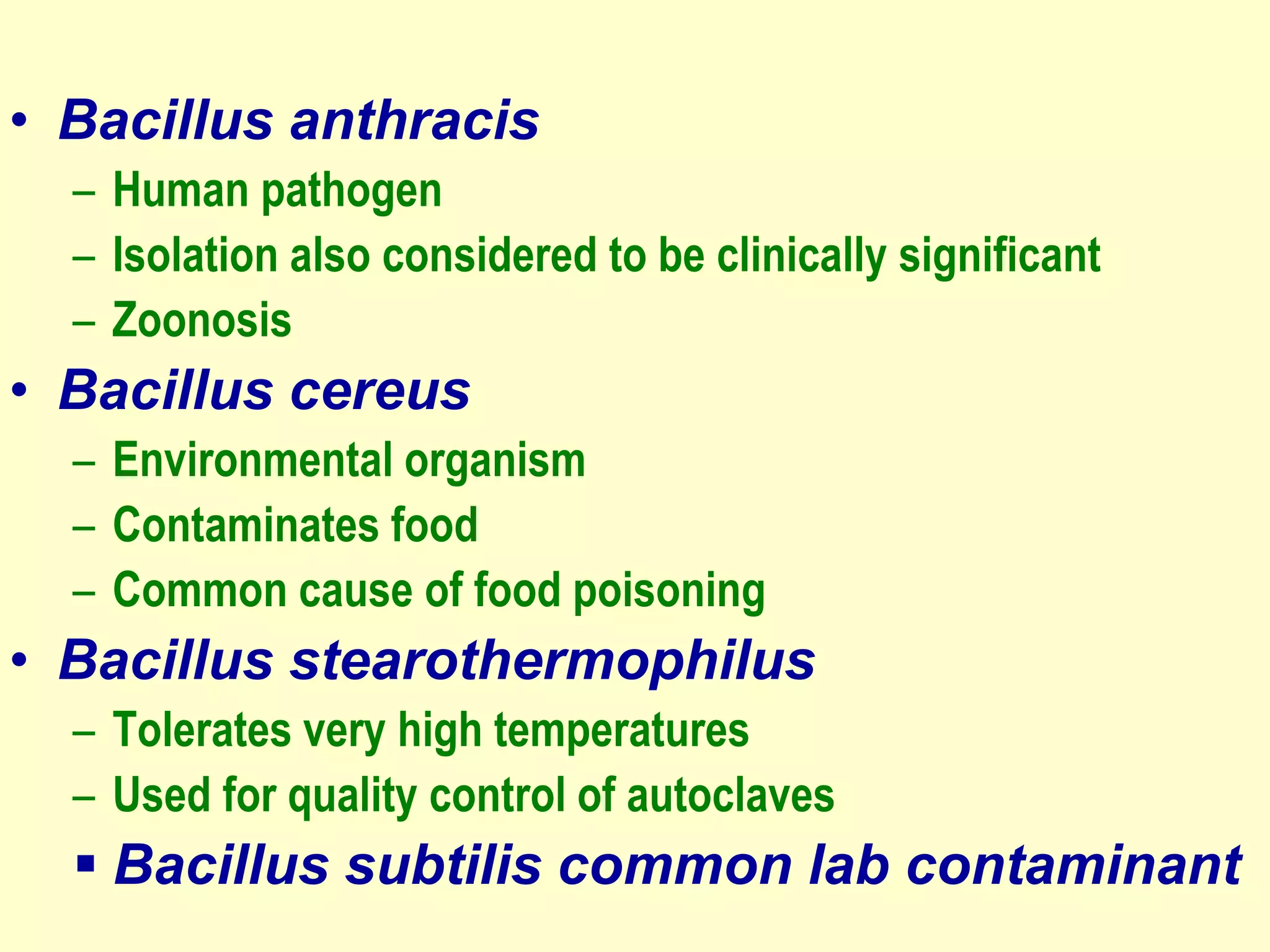 • Bacillus anthracis
– Human pathogen
– Isolation also considered to be clinically significant
– Zoonosis

• Bacillus cereus
– Environmental organism
– Contaminates food
– Common cause of food poisoning

• Bacillus stearothermophilus
– Tolerates very high temperatures
– Used for quality control of autoclaves

 Bacillus subtilis common lab contaminant

 